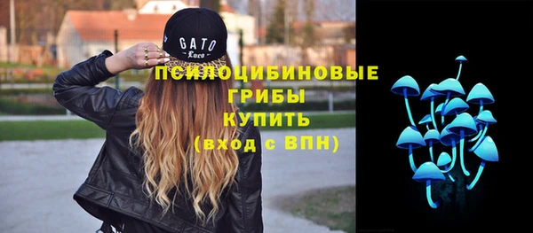 jwh Ельня