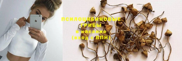 тгк Елабуга