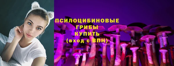 Альфа ПВП Елизово