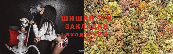 jwh Ельня