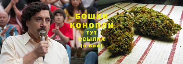 jwh Ельня