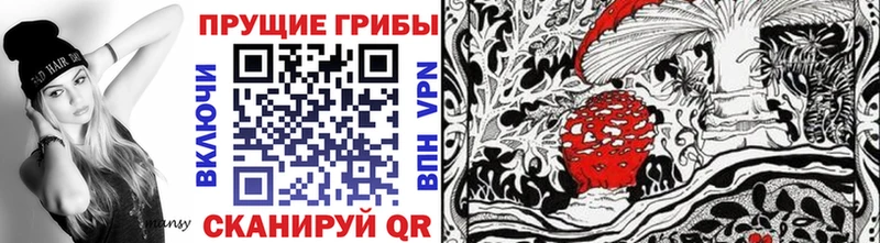где продают наркотики Калач Галлюциногенные грибы мухоморы